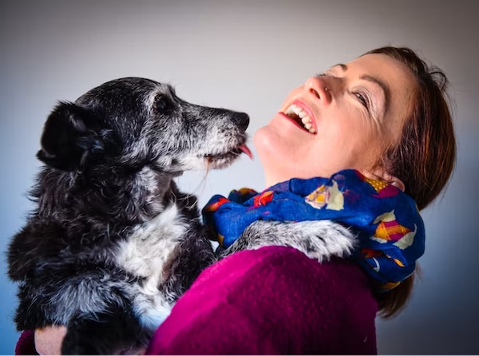 Stock image of dog and woman