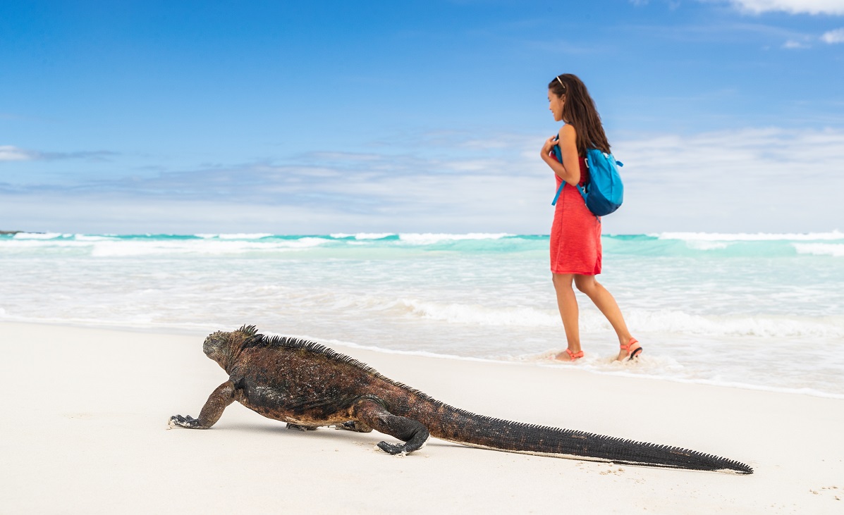 Sustainable Tourism: Benefits and Examples of How Data Can Help - Sustainable Tourism Products For Consumers