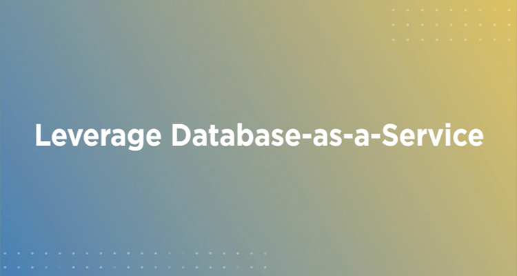 Leveraging Database-as-a-Service on Your Own Terms