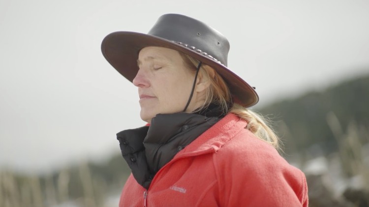 Navigating the Wilderness - Expert Advice for VMware Customers