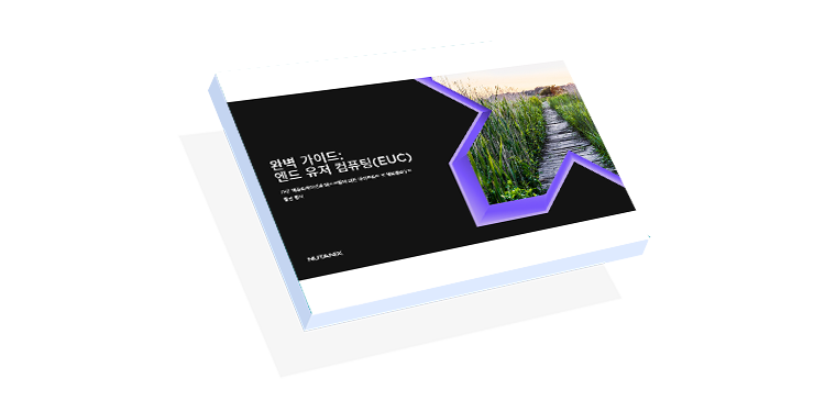 완벽 가이드: 엔드 유저 컴퓨팅(EUC)