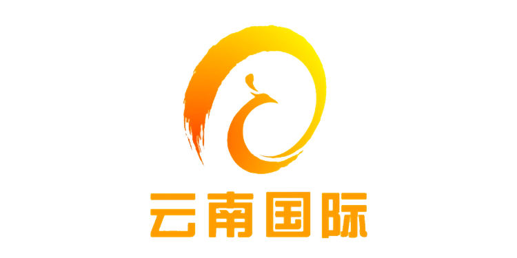 Yunnan Television Case Study