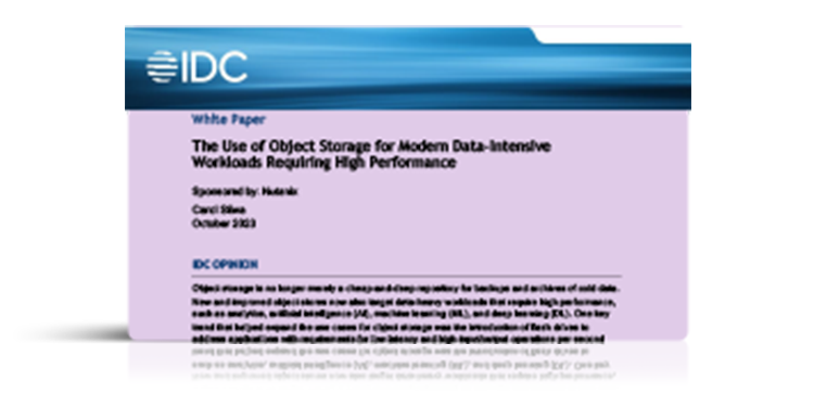 The Use of Object Storage for Modern Data-Intensive Workloads Requiring High Performance