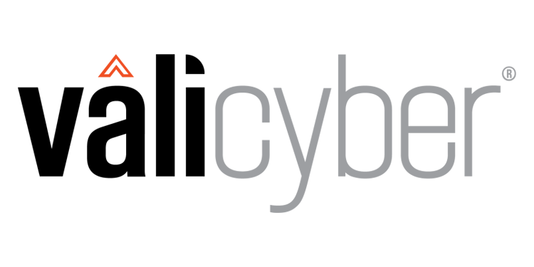 Vali Cyber Logo