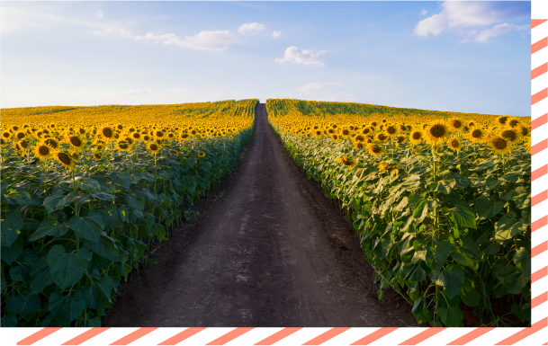 Migrate to the Nutanix Cloud Platform and AHV